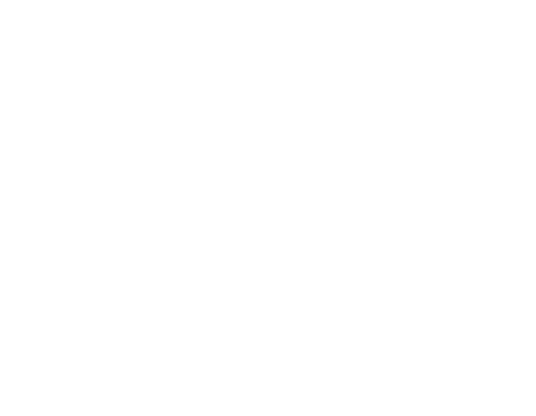 Company logo 1