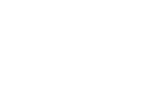 Company logo 2
