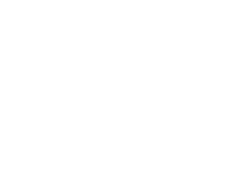 Company logo 2
